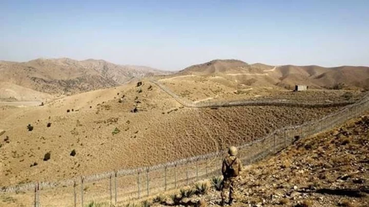 পাকিস্তান–আফগানিস্তান সীমান্তে ৫৪ জন নিহত