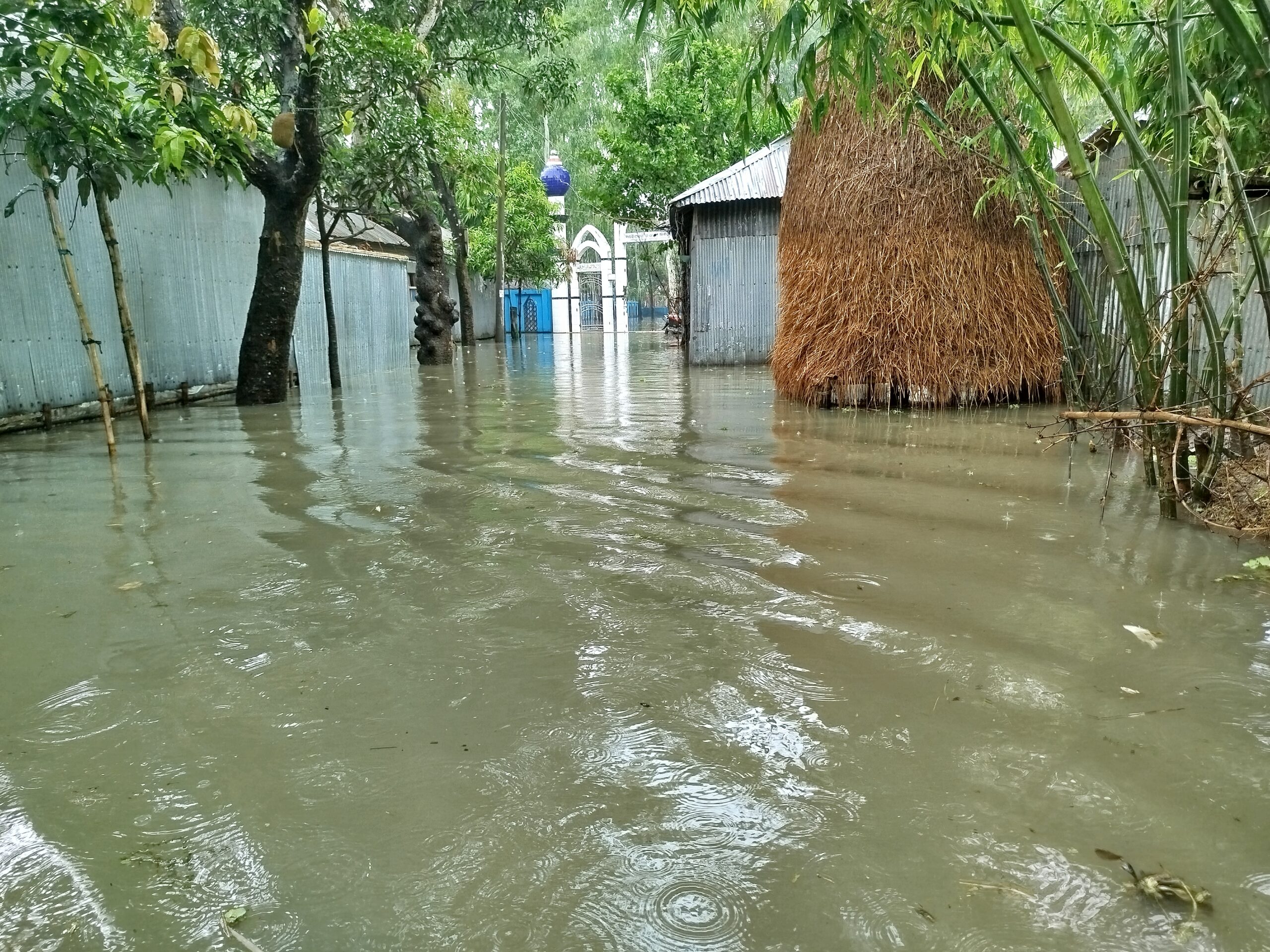 তিস্তার পানি কমলেও ভোগান্তি কমেনি ১০হাজারো পরিবারের