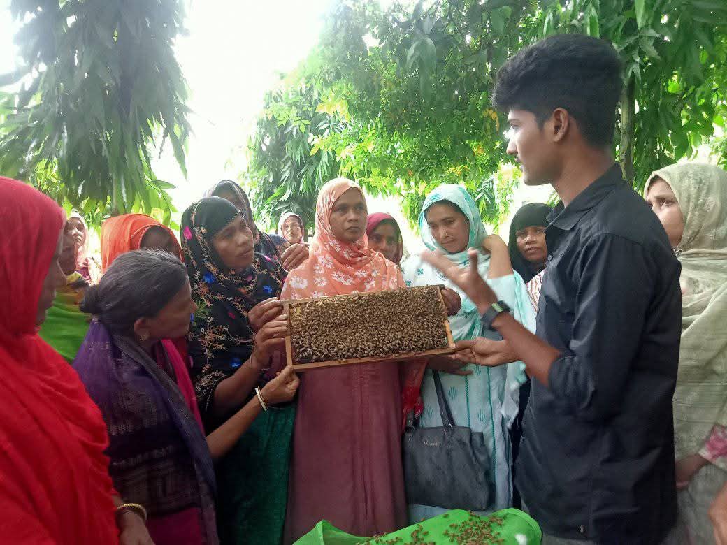 পড়াশোনার পাশাপাশি সফল মৌচাষি রাকিব