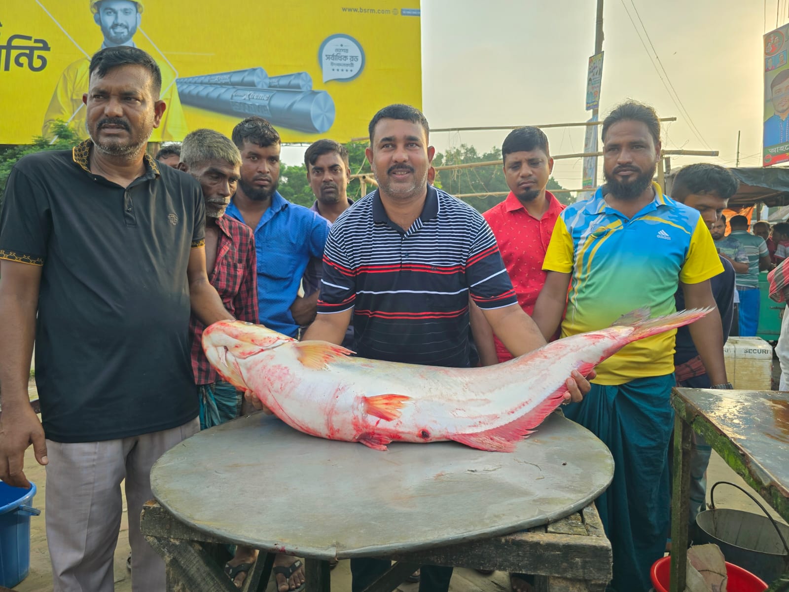 পদ্মার একটি ঢাই মাছ ১লক্ষ ৪ হাজার টাকায় বিক্রি